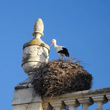 Black&light In Apartamento Faro