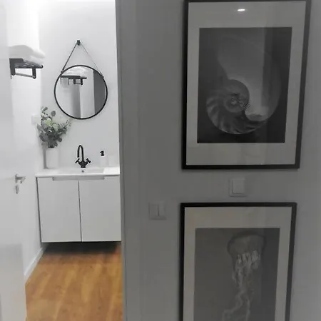 Black&light In Faro